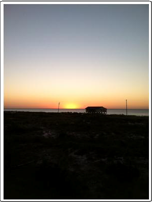 sunrise dog island